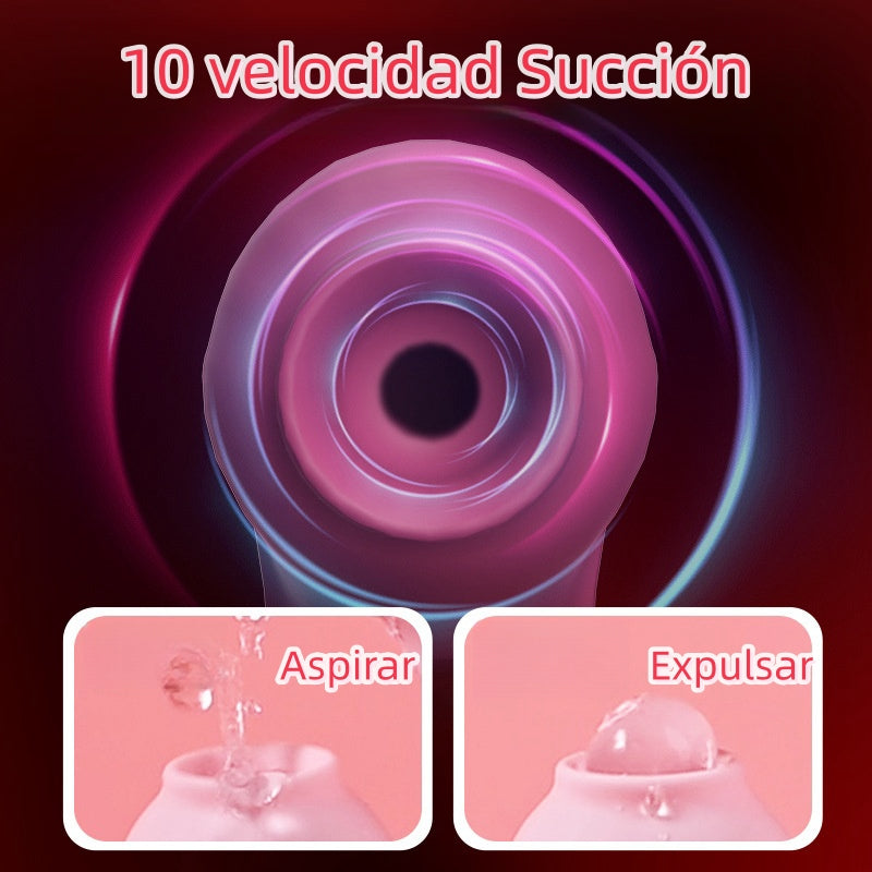 Vibrador de empuje | Succión | 10+10 modos | 24cm x 3.6cm | Recargable-usb | B60
